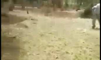 Imagem 6: Vende-se Chácara em Pardinho/SP