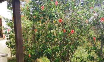 Imagem 7: Casa com 2 dormitórios para alugar, 90 m² por R$ 1.300,00/mês - Praca da Bandeira - Ararua