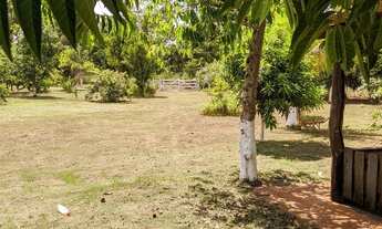 Imagem 5: Chácara 7 hectares no assentamento santa mônica 40 kl