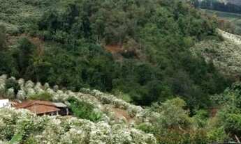 Imagem 3: Sitio Produzindo em Manhaçu- A terra se paga