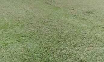 Imagem 3: SITIO A VENDA EM PORTO FELIZ