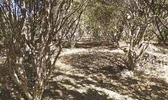 Imagem 2: Chácara Nova Fátima Hidrolândia