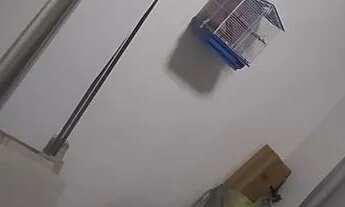 Imagem 6: Aluga-se apartamento térreo em Maranguape 1