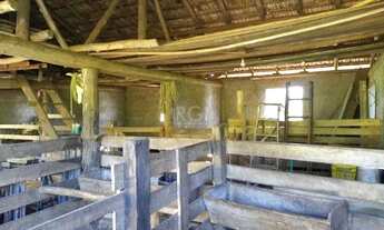 Imagem 5: Sítio em Centro