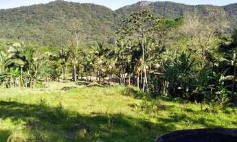 Imagem 4: Terreno à venda, 4200 m² por R$ 750.000,00 - Ilhota - Itapema/SC