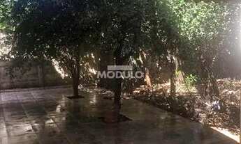 Imagem 7: Casa com apartamento e cômodo de comércio a venda no Bairro Roosevelt