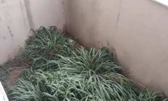 Imagem 5: CASA CITY BUSSOCABA OSASCO