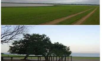 Imagem 3: Chácara beira da baia de Chacororé