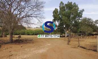 Imagem 4: Vende-se chácara de 20.000m em Indiaporã, SP