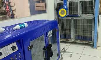 Imagem 4: Vende-se Pet Shop com Consultório Veterinario em Águas Claras