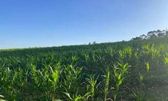 Imagem 4: AS/Residencial Vila Itália no interior de SP em Ibiúna whats