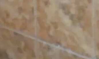 Imagem 5: Ótima casa Casa com 3 dormitórios