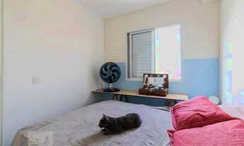 Imagem 5: Apartamento para Aluguel - Cambuci, 1 Quarto, 35 m2