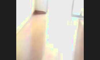 Imagem 2: Apartamento para Locação em São Paulo, Bosque da Saúde, 2 dormitórios, 1 banheiro, 1 vaga