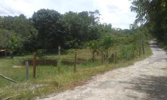 Imagem 3: Lindo Terreno 50x60 KM 17 BR 174