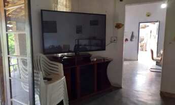 Imagem 4: Chácara Terreno de 2500m2 com Piscina , Pomar em Mogi da Cruzes SP