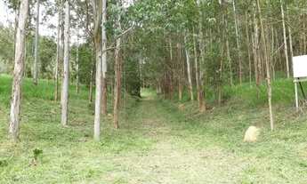 Imagem 2: Sítio com 13 alqueires em jacutinga MG