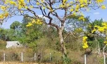 Imagem 4: Chácara Chácara com venda por R$170.000