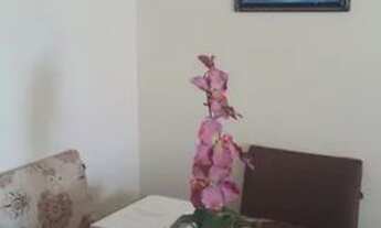 Imagem 2: Apartamento para venda possui 60 metros quadrados com 2 quartos em Norte - Brasília - DF