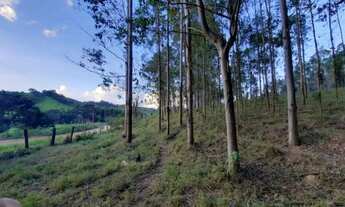 Imagem 7: Sítio com 13 alqueires em jacutinga MG