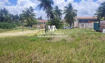 Imagem 4: TERRENO 26×30 À BEIRA-MAR DA PRAIA DE PEROBA EM MARAGOGI AL