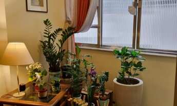 Imagem: 3 Quartos no Flamengo