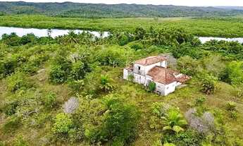 Imagem 6: Sítio em jaguaripe oportunidade