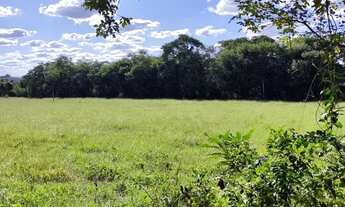 Imagem 3: Fazenda de 14 alqueires em Trindade-GO