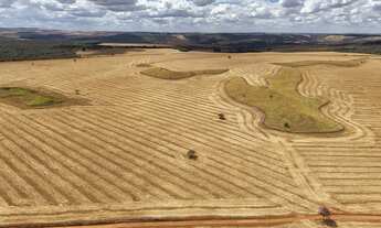 Imagem 2: Fazenda de 250 Alqueries