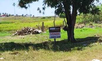 Imagem 5: Terreno na praia de Tabuba a 50m do mar