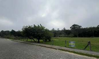 Imagem 3: Terreno plano 10.000m²