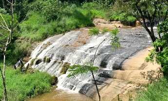 Imagem 7: LOTES DISPONIVEL, VENHA VERIFICAR