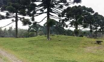 Imagem 5: Sitio - Bairro Serra Grande