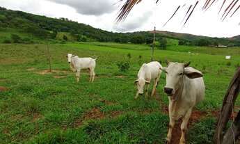 Imagem 4: Sitio Produtivo 1 Hectares Irrigado!! Agricultura/Pecuária..Aceita Imóvel Urbano!!!