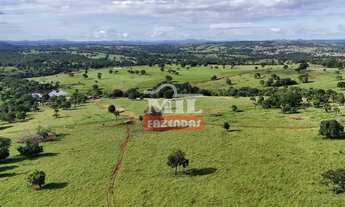 Imagem 2: Fazenda 217.5 alqueires ( 1.052,7 hectares ) Itapirapuã GO