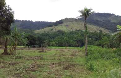 Imagem 2: Terreno de 2.534 m2 na Ilha de Guaratiba - Rio de Janeiro - RJ