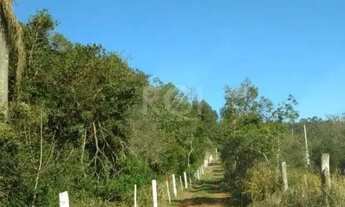 Imagem 7: Sítio para Venda - 50000m², 0 dormitórios, Viamão