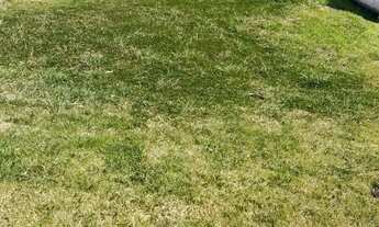 Imagem 3: Terreno em Condomínio para Venda em Cotia, Jardim Torino Village Los Angeles