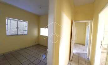 Imagem 5: Comercial LojaSalão em Marília