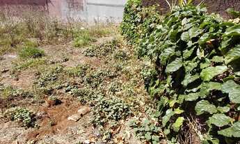 Imagem 3: Terreno Patrimônio de Brotas