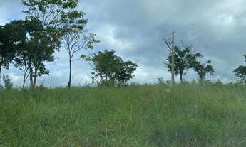 Imagem 4: Arrendo fazenda 32 alqueires toda formada brachiaria