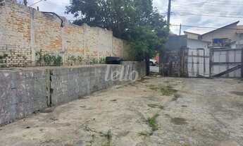 Imagem: Terreno null quartos para alugar no(a) Vila