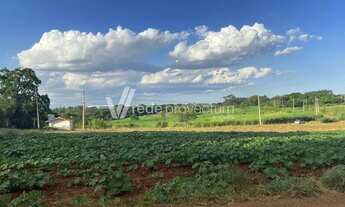Imagem 4: área - Betel - Paulínia