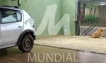 Imagem 4: Chacara (chacara) 2 dormitórios/suite, cozinha planejada, portaria 24 horas, em condomínio