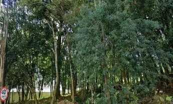 Imagem: Terreno,bairro Marechal Floriano