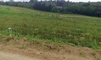 Imagem 6: LOTES COM VARIOS BENEFICIOS