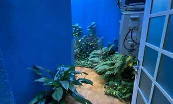 Imagem 7: Casa Comercial à Venda