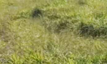 Imagem 5: Terrenos para Airbnb no interior de SP