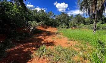 Imagem 6: Lote Mateus Leme