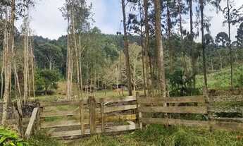 Imagem 3: Oportunidade Única: Área Produtiva e de Lazer no Tarumã Agudos do Sul